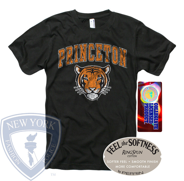 princeton majors and minors best buy support princeton majors and minors best buy support